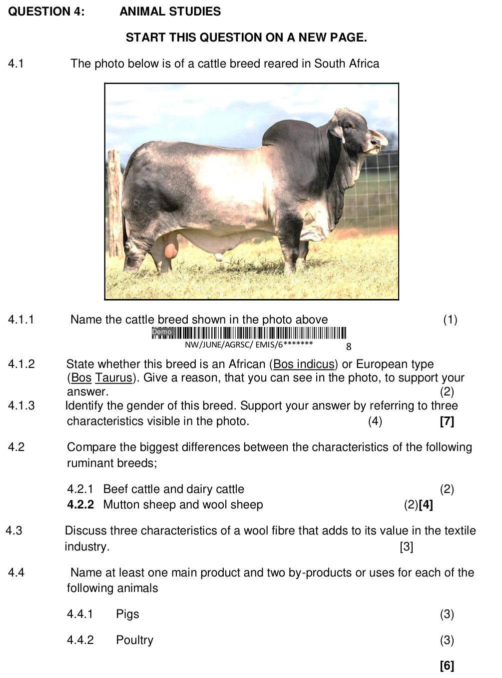 Grade 10 Business Studies Market & Macro Environment practice question