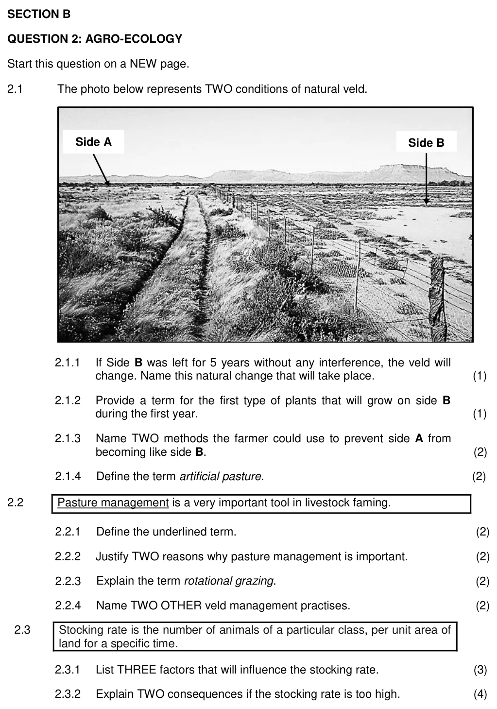 Grade 10 Business Studies Business Functions practice question
