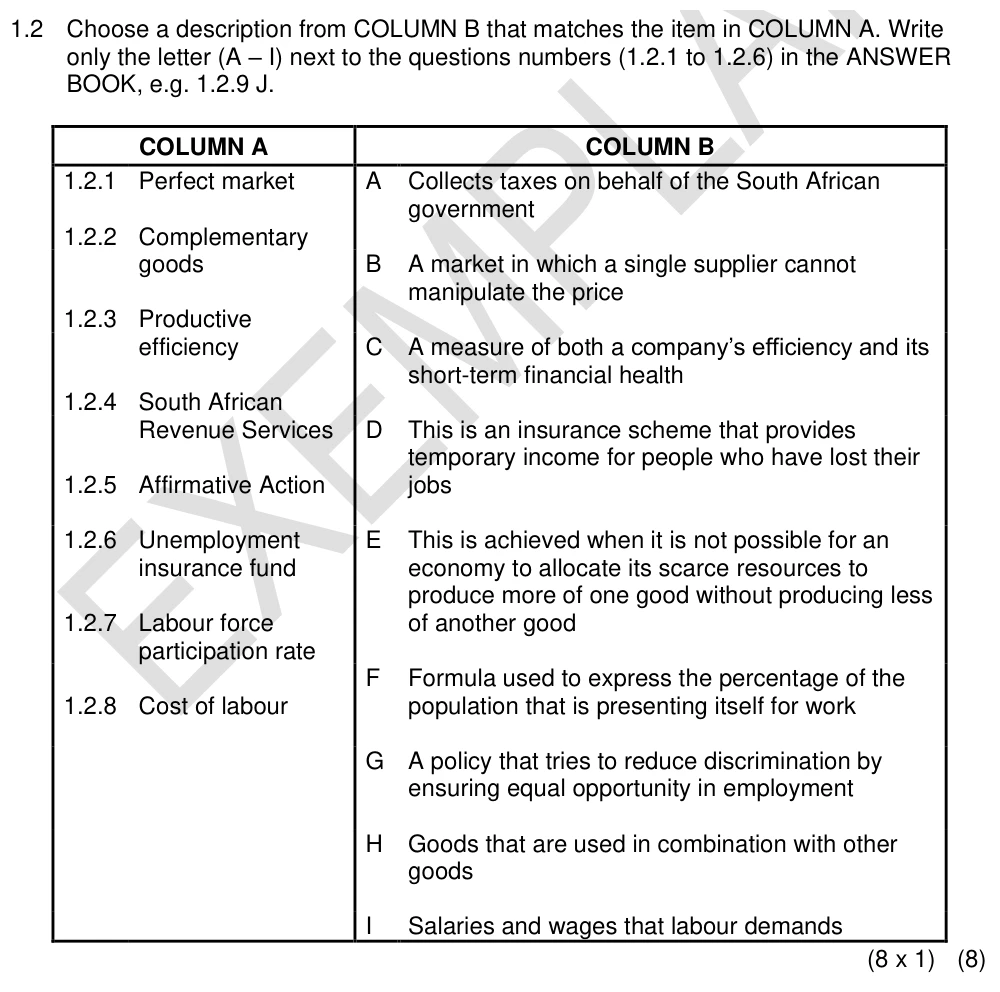 Grade 10 Economics Public Sector Intervention practice question