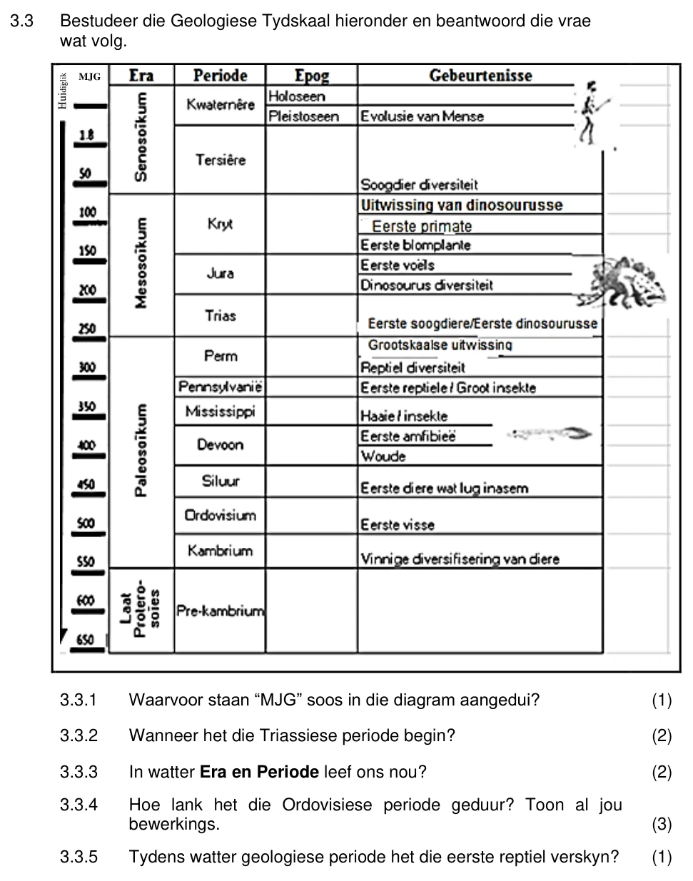 Grade 10 Life Sciences History of life on earth practice question