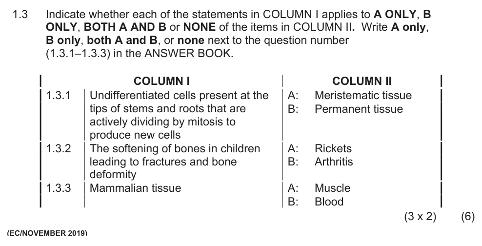 Grade 10 Life Sciences Plant and animal tissues practice question