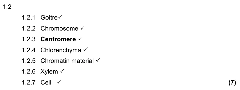 Grade 10 Life Sciences Cell division (mitosis) practice question