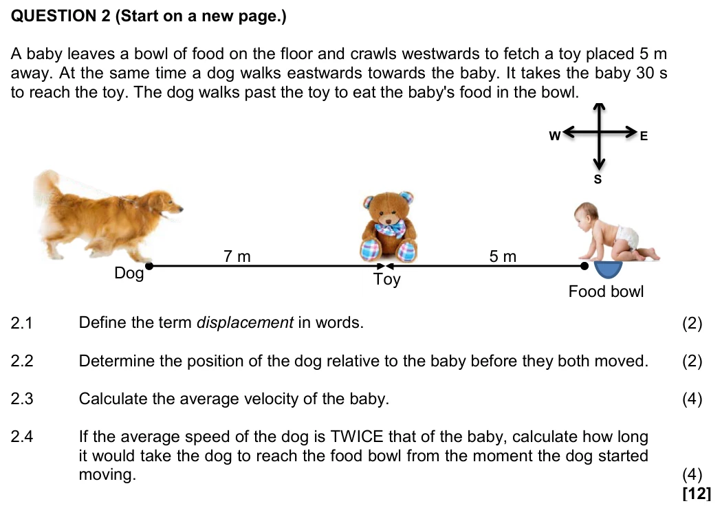 Grade 10 Physical Sciences Motion in one dimension practice question