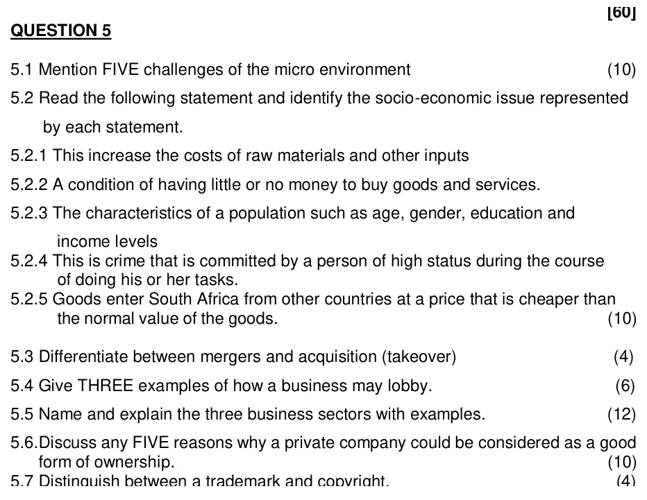 Grade 11 Business Studies Business Sectors practice question