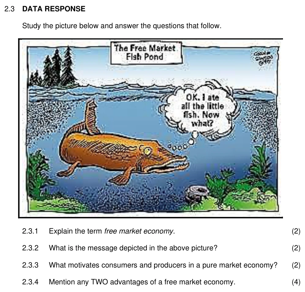Grade 11 Economics Economic Systems practice question
