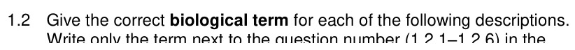 Grade 11 Life Sciences Photosynthesis practice question