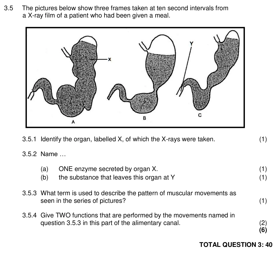 Grade 11 Life Sciences Gaseous exchange practice question