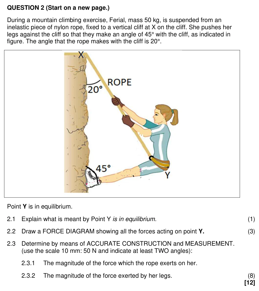 Grade 11 Physical Sciences Newton’s laws practice question