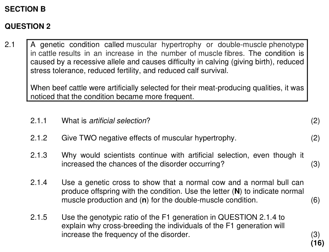 Grade 12 Life Sciences EVOLUTION practice question